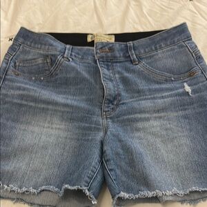 Democracy Blue Distressed Jean Shorts